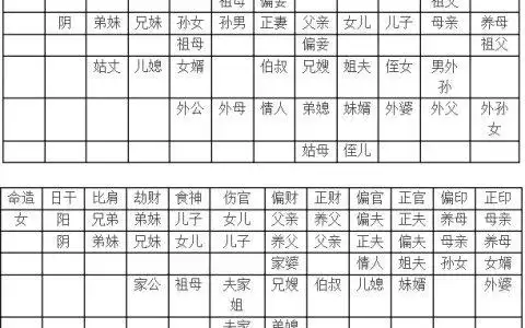 八字六亲关系图表,八字里的六亲各代表什么意