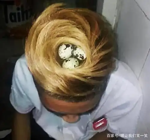 搞笑:奇葩搞笑发型,在路上绝对吸引眼球,有你见过的吗?