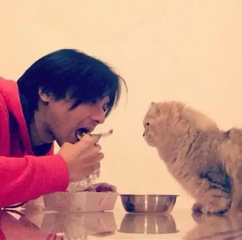 舒淇晒爱猫和冯德伦合影 疑似公开恋情