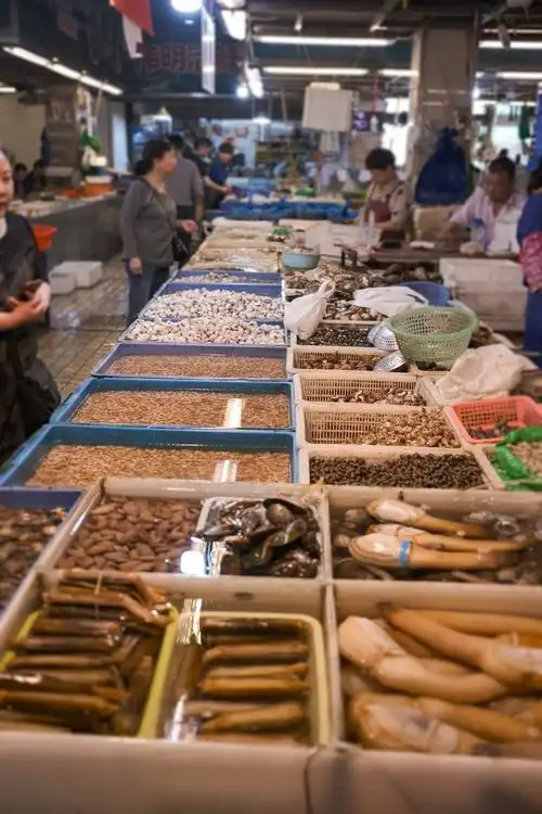全国海鲜界的天花板在宁波菜市场