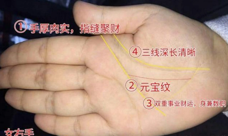特别结婚后能够旺夫益子,一生都可以比较享福的命一生"儿女福"的手相