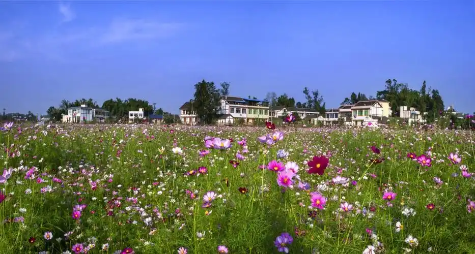 美丽宜居乡村重庆市潼南区柏梓镇郭坡村