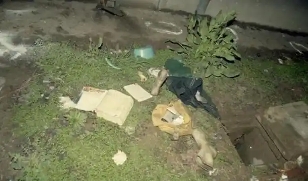 少女凋零,恶魔无踪!28年后,警方何以破案?