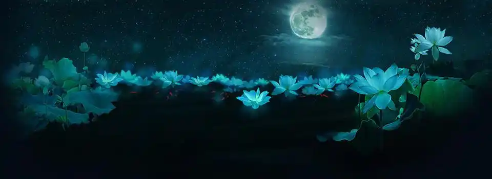 星空下的流星雨