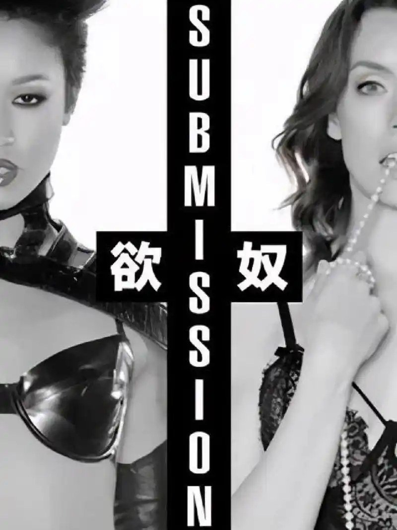 美剧推荐 美剧推荐 欲奴 亢奋第一季 星期三 天赋异禀第一季 权力的