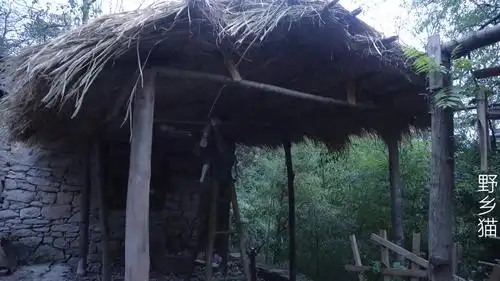 隐居深山,给凉亭换个新造型,深夜在爆炒一锅肥肠,一整条吃起来真有