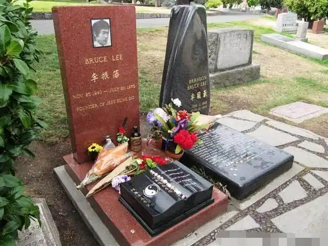 最后说说哥哥张国荣吧,生于香港的他在影视圈中有一片自己的广阔天地