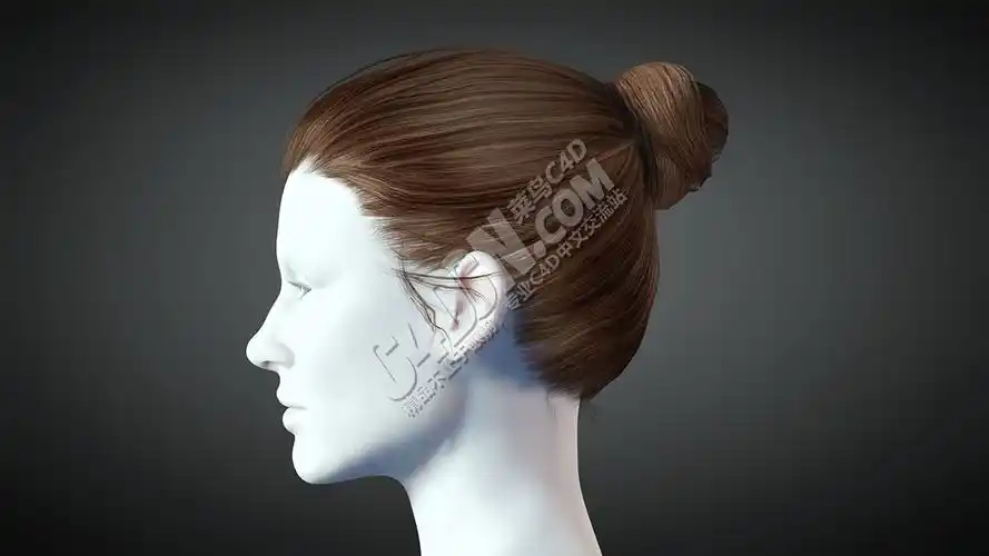 c4d逼真女性头发发型模型