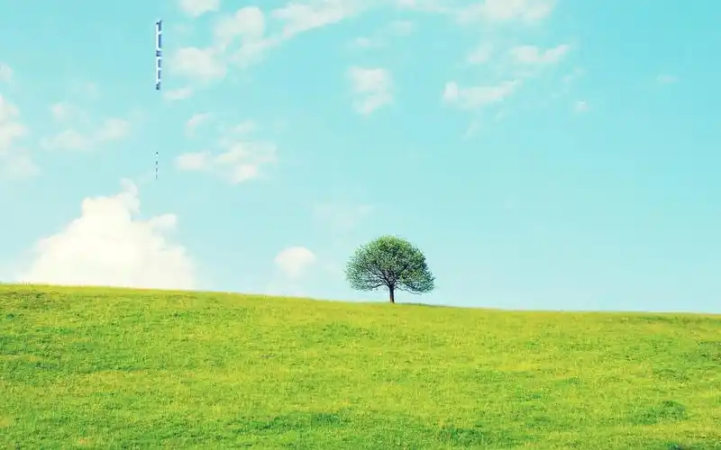 抖音热门歌曲 你听过几首