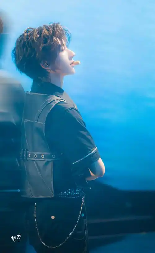 时代少年团好板正##贺峻霖 二十弈梦鸿鹄万里