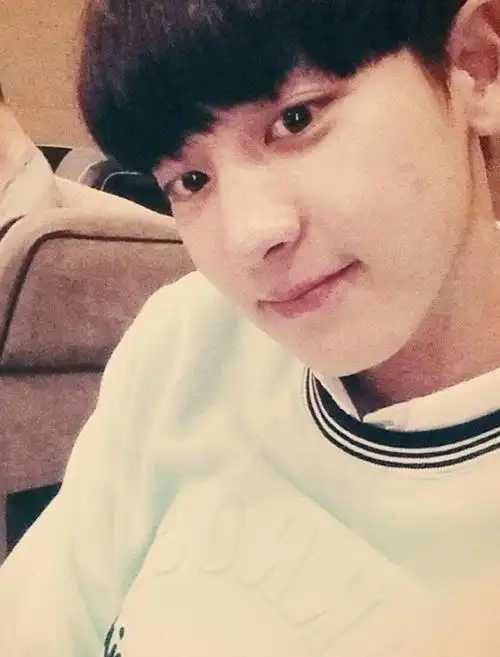 朴灿烈证件照##朴灿烈动图##mint