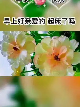 131419在抖音记录美好生活20210909 - 抖音