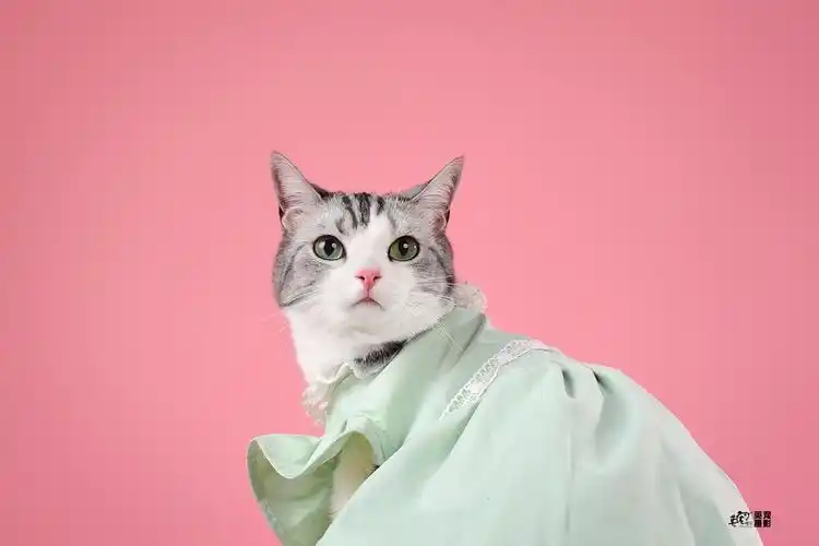 诶嘿～小红书滴网红喵喵来拍照哦～我不说名字,你们知道是谁么_高清