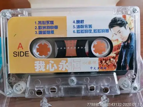 毛宁《我心永恒》中文主题曲磁带.