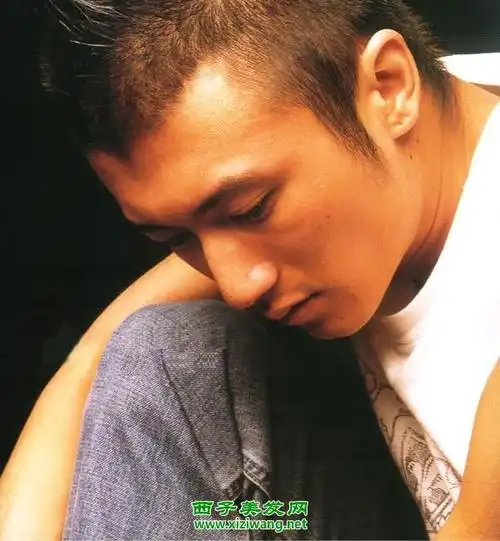 谢霆锋短头圆寸发型