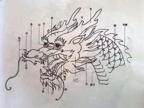 最简单的龙头简笔画