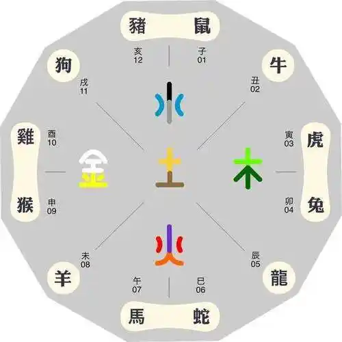 十二生肖五行的顺序表 十二生肖五行分别是什么