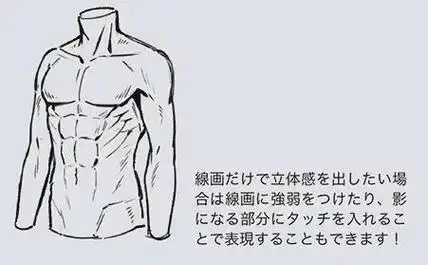 成都水彩之翼教你上半身肌肉的画法教程