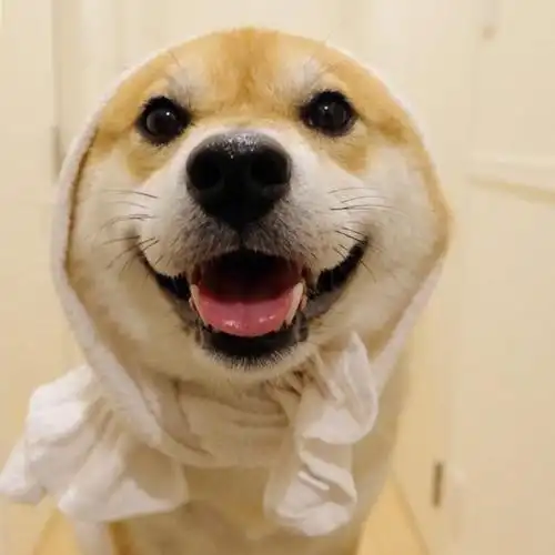 搞笑至极的朋友圈说说,幽默有创意,句句笑死人!