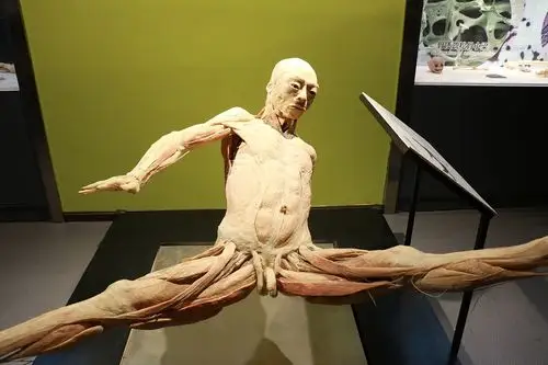 慎入!天府广场下方有大量人体!