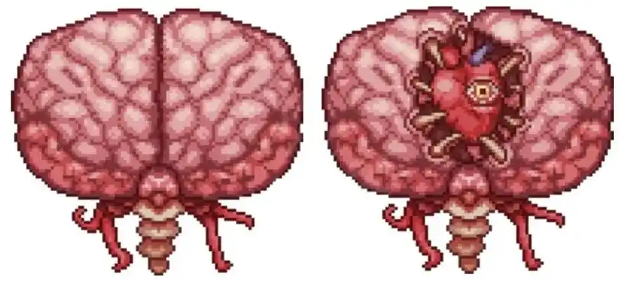 泰拉瑞亚克苏鲁之脑怎么召唤泰拉瑞亚克苏鲁之脑召唤方法