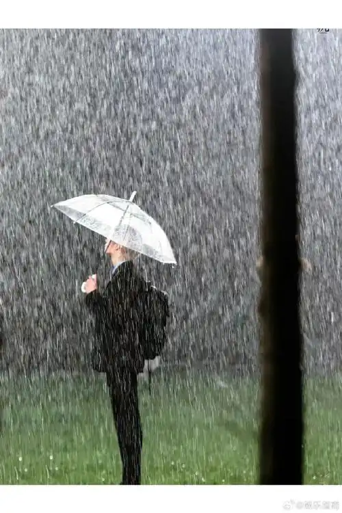 朱志鑫雨中撑伞