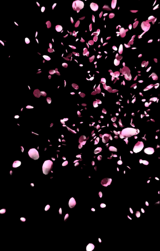 544_855竖版 竖屏gif 动态图 动图