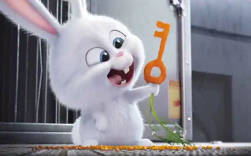 爱宠大机密中的小白兔高清壁纸图片