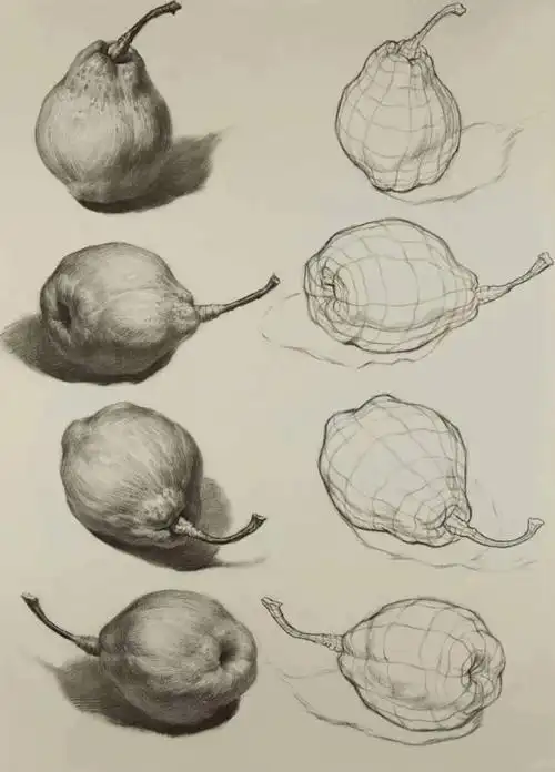 素描 单体静物 - 堆糖,美图壁纸兴趣社区