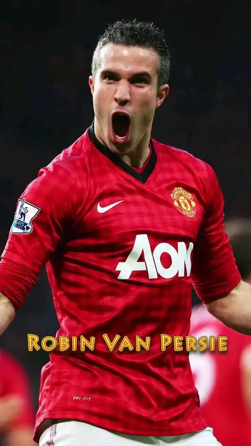 范佩西～～～荷兰威武霸气大将军!