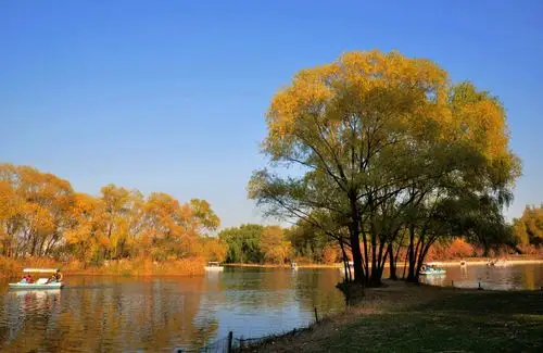北京朝阳公园(秋)
