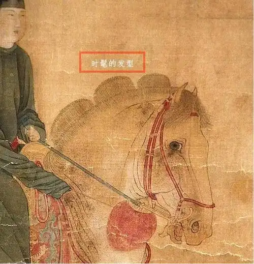 中式美学五花马千金裘李白说的五花马究竟是什么马