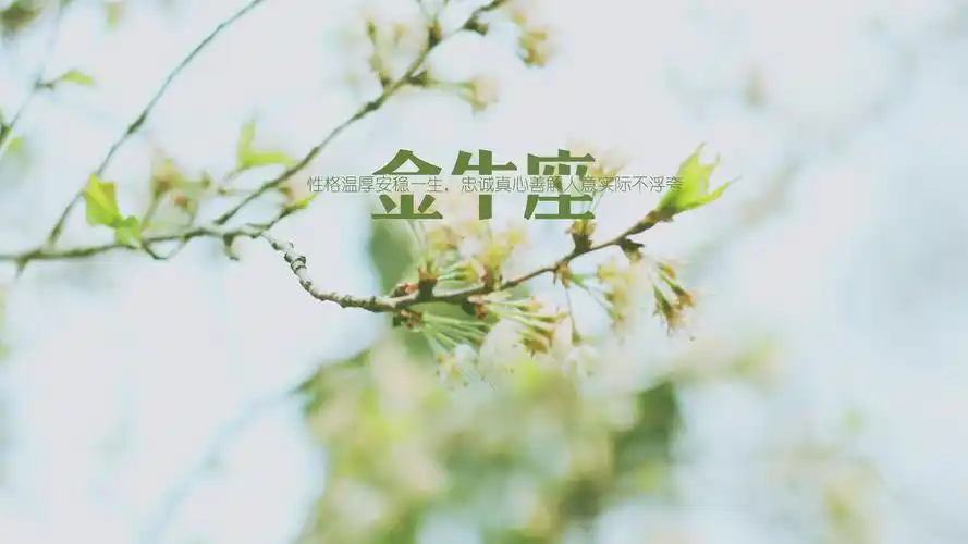 个性星座壁纸11