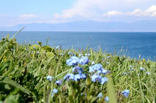 六月伊犁看花(2014年6月8日-17日)图片942,新疆自治区旅游景点,风景