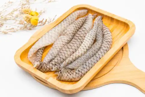 白色背景罗非鱼皮 鱼皮