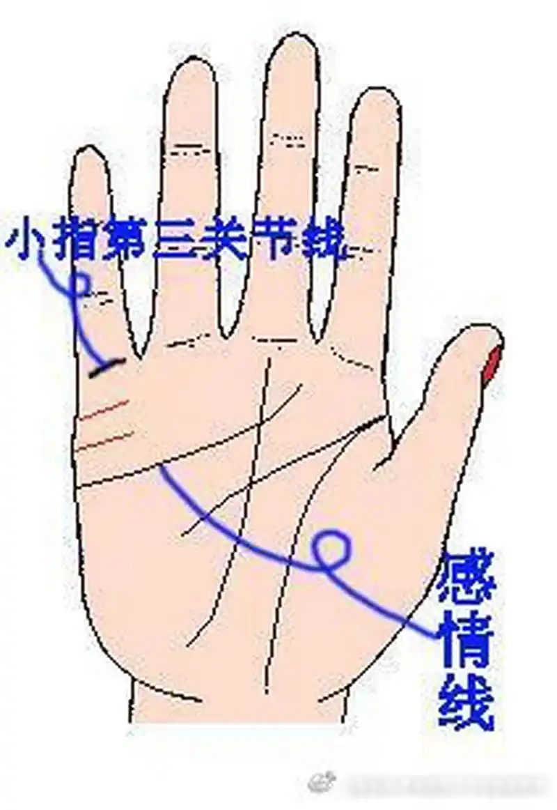 手相算命,sex结婚者的手相特征[如上图]:金星带又名金星线,是在感情线