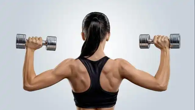 了解背部训练项目,全面刺激背部肌肉,可以试试练习这几个动作