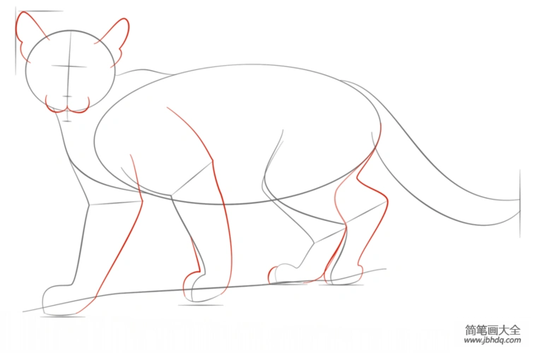 如何画美洲狮宝宝