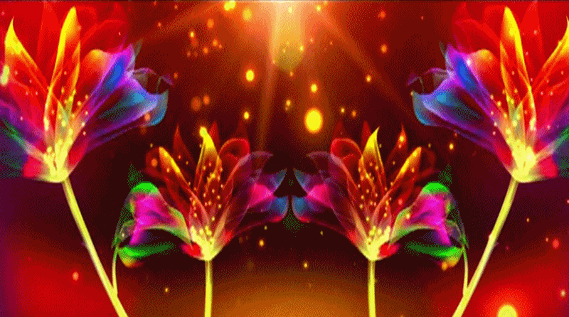 【gif-动图】— 用抠抠视频秀生成的gif动画(素材) - 夕阳无限美