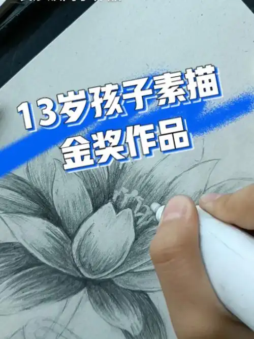 13岁孩子素描金奖作品