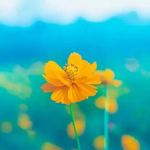 朋友圈背景图好看的朋友圈封面背景图(个性背景图,朋友圈唯美背景图