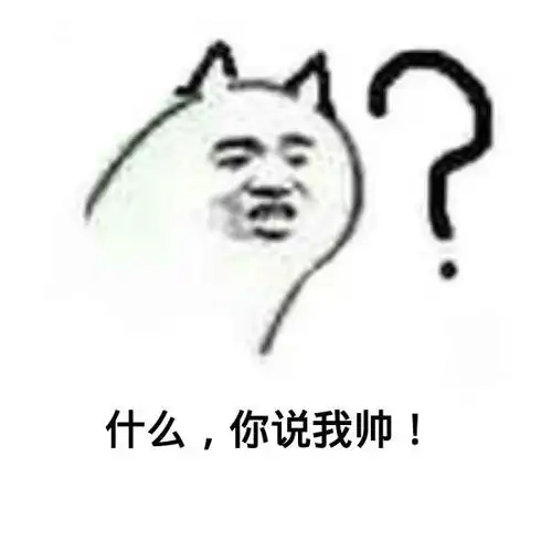 什么你说我帅搞笑表情包聊天图片表情