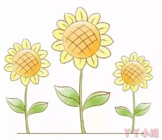 简单的向日葵的画法向日葵简笔画漂亮的向日葵简笔画画法美丽的向日葵