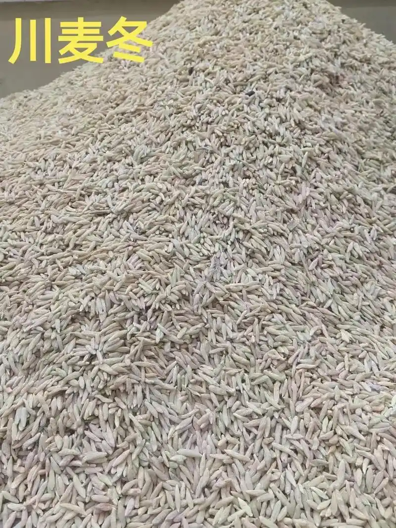 麦冬药典所收录的有麦冬和山麦冬山麦冬,药典记载是【湖北麦 - 抖音