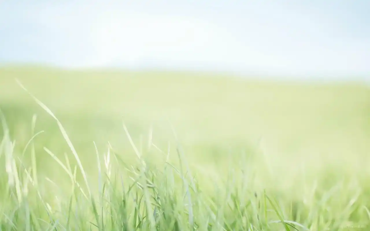 小清新治愈系风景美图高清桌面壁纸