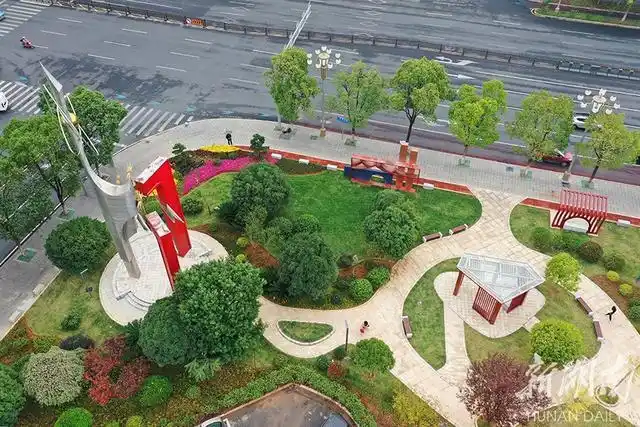 10月28日,长沙县望仙路与开元路交会处的星耀园,市民在赏花观景.