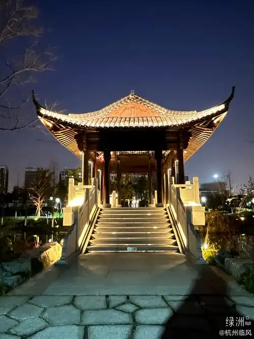 杭州桃花湖公园夜景__财经头条