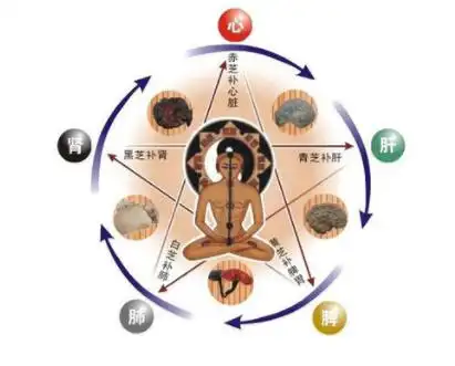 济缘命理讲堂 原创文章