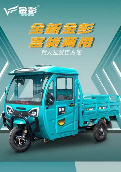 可上牌代步三轮车 金彭电动三轮车带棚家用拉货载重王国标可上牌成人