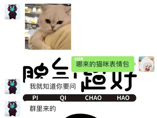 一些毫无用处的默契